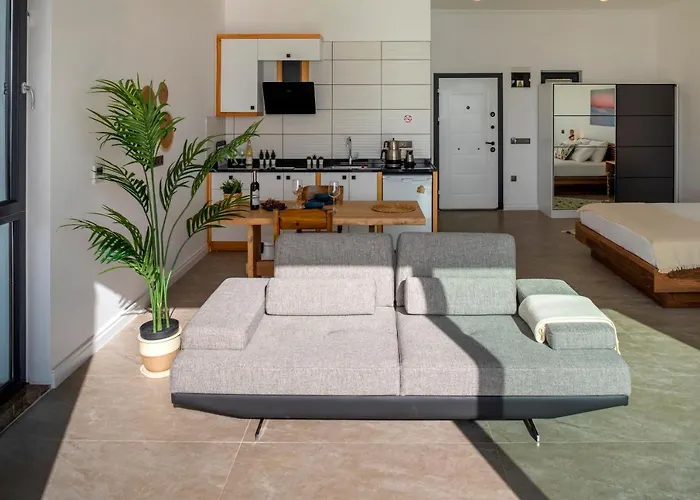 Born In Blue Appart hôtel