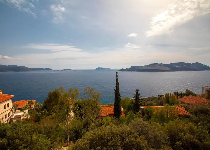 Born In Blue Appart hôtel